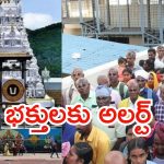 Tirumala News: తిరుమలలో ఒక్కసారిగా పెరిగిన రద్దీ.. 26 కంపార్ట్మెంట్లలో భక్తులు