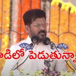 Telangana Formation Day: రాష్ట్రాన్ని పునర్నిర్మించే దిశగా అడుగులు.. రాష్ట్ర అవతరణ వేడుకల్లో సీఎం రేవంత్