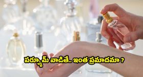 Geetu Royal: ఘోర ప్రమాదం.. చనిపోయిే పరిస్థితి.. బిగ్ బాస్ బ్యూటీ గీతూ రాయల్‌కు ఏమైంది?