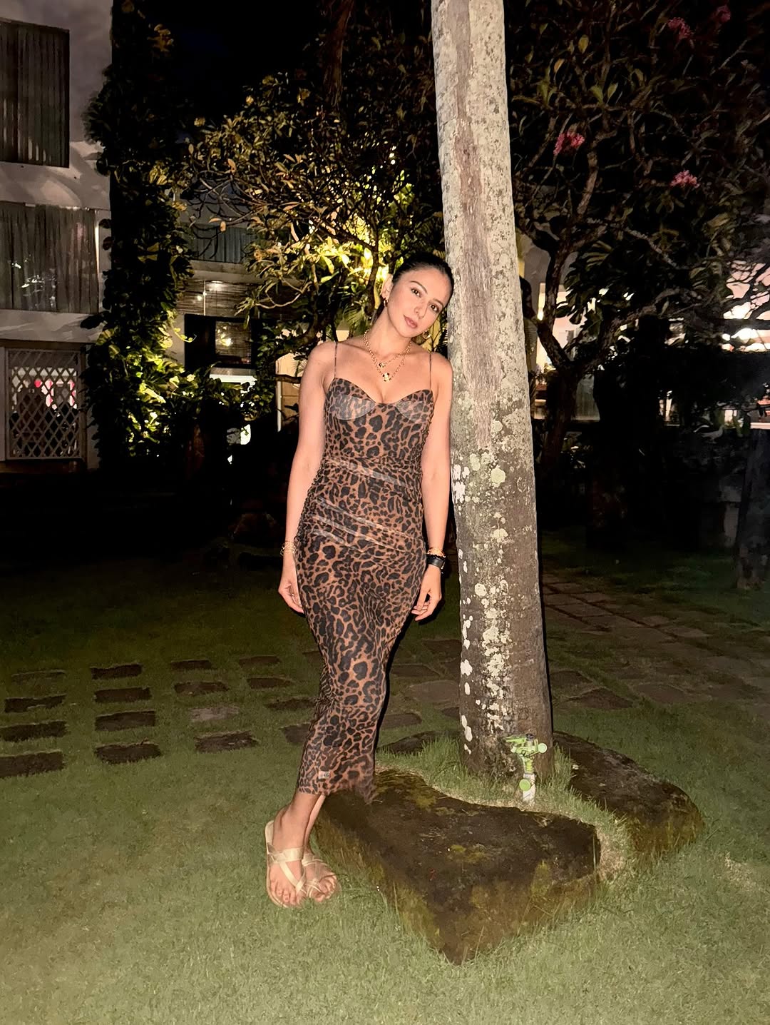 Actress Rakul Preet Singh Photo Gallery