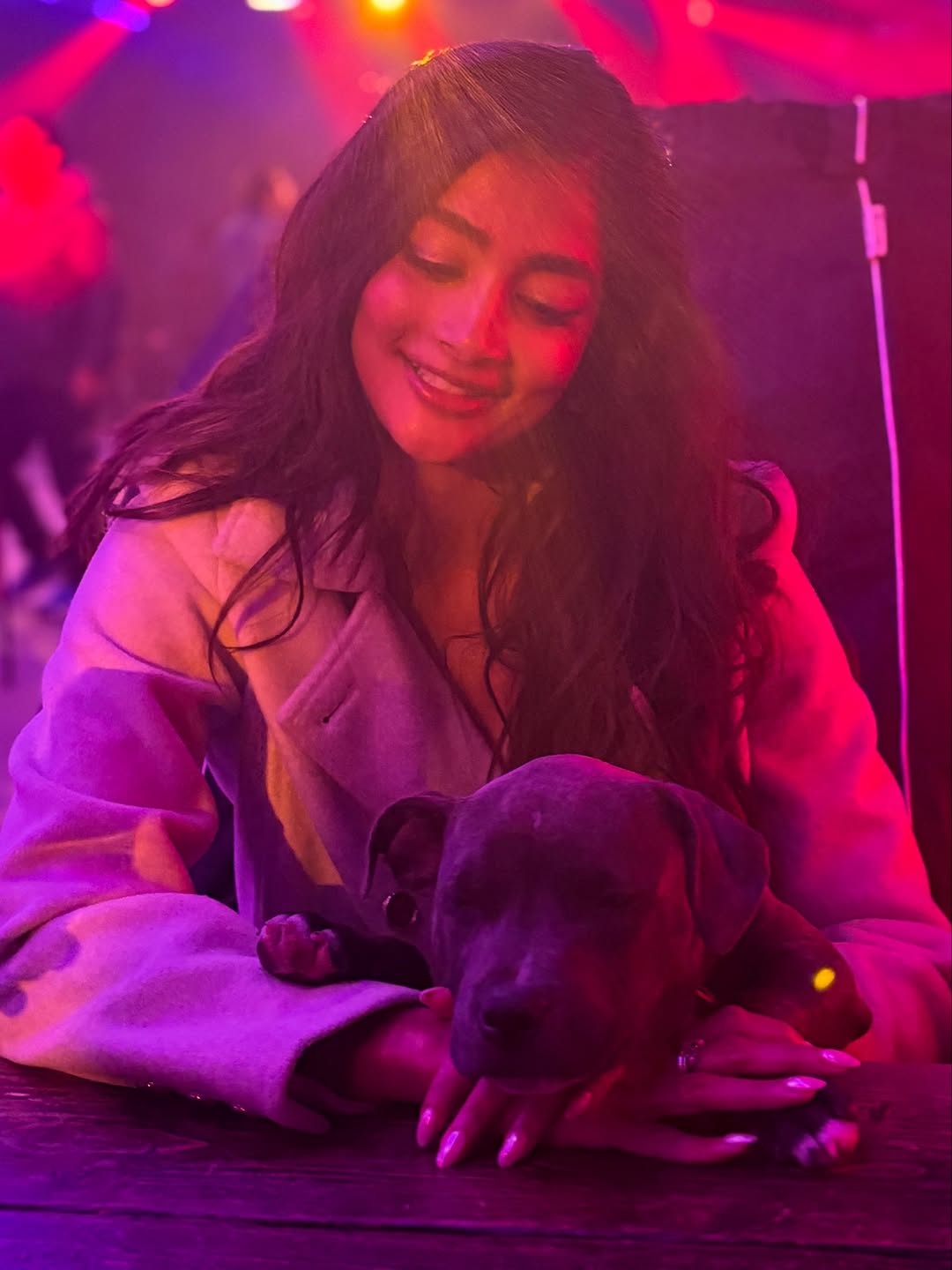 Pooja Hegde Photo Gallery
