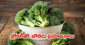 Broccoli Benefits: బ్రోకలీ తినడం వల్ల.. ఎన్ని ప్రయోజనాలు ఉంటాయో తెలుసా ?