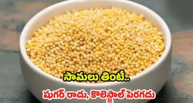 Hyderabad to Tirupati: హైదరాబాద్ నుండి తిరుపతి వెళ్తున్నారా? ఈ రూట్ వెరీ షార్ట్ కట్ గురూ!