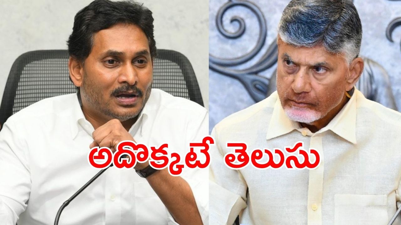 CM Chandrababu: వారికి నరకడం తెలుసు.. సీఎం చంద్రబాబు కీలక వ్యాఖ్యలు