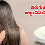 Best Hair Care Tips: ఏవేవో హెయిర్ ఆయిల్స్ అవసరమే లేదు, ఈ ఒక్కటి వాడితే పొడవాటి జుట్టు