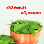 Curry Leaves Benefits: ఉదయం ఖాళీ కడుపుతో కరివేపాకు తింటే.. వ్యాధులు రమ్మన్నా రావు