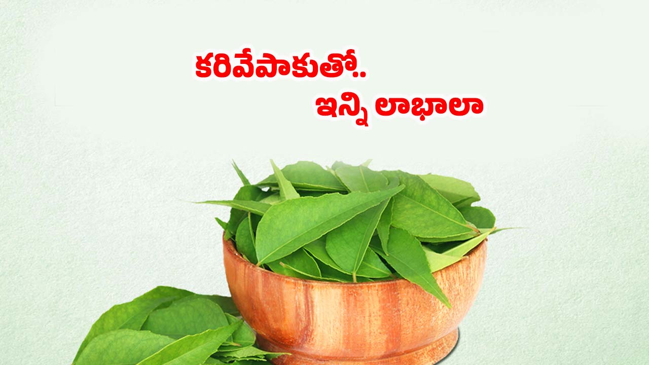 Curry Leaves Benefits: ఉదయం ఖాళీ కడుపుతో కరివేపాకు తింటే.. వ్యాధులు రమ్మన్నా రావు