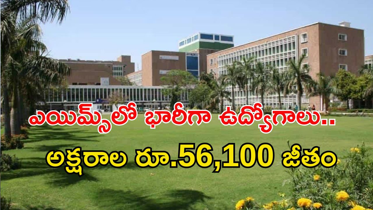 AIIMS: ఎయిమ్స్‌లో 220 ఉద్యోగాలు.. మంచి వేతనం.. ఈ అర్హత ఉంటే చాలు