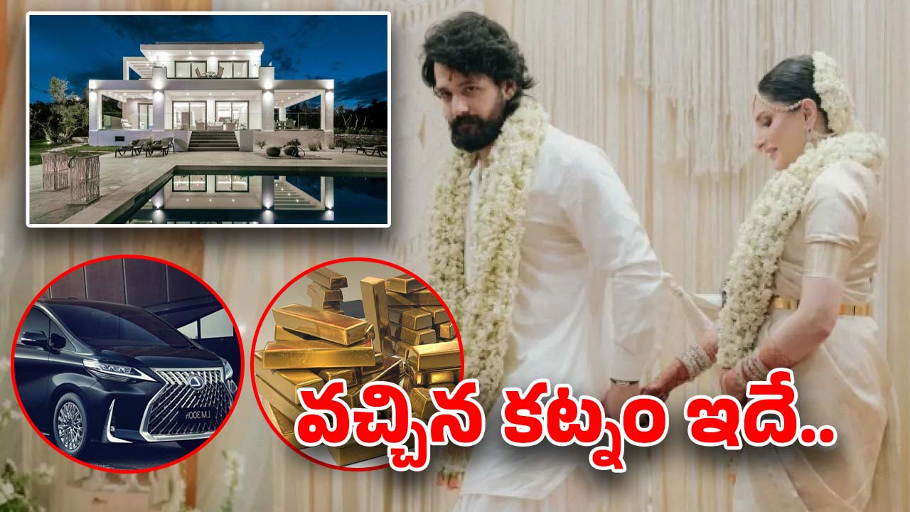 Akhil – Zainab: జైనాబ్ కట్నం కింద ఎంత తెచ్చిందో తెలిస్తే షాక్..డబ్బు బంగారం, విలువ ఎంతంటే?