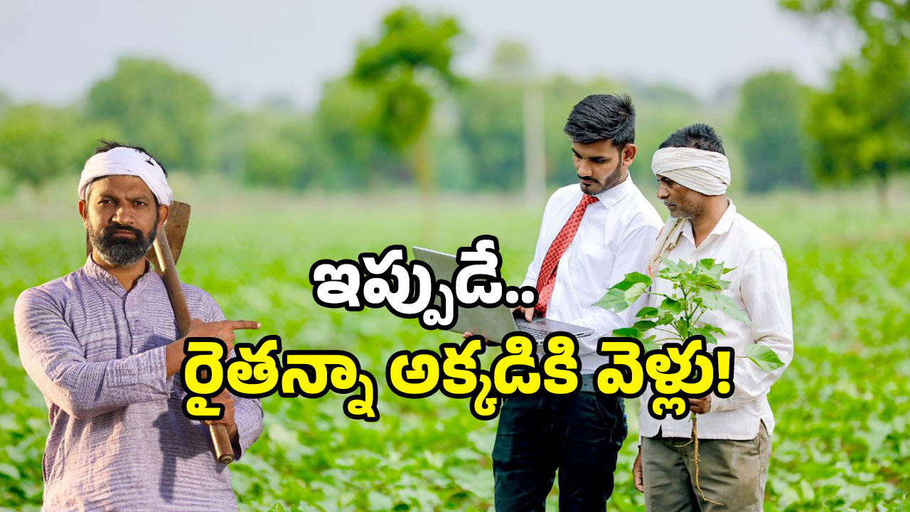 Annadata Sukhibhava 2025: రైతులకు లాస్ట్ ఛాన్స్.. రూ. 20 వేలు జమ అయ్యేందుకు ఇలా చేయండి!