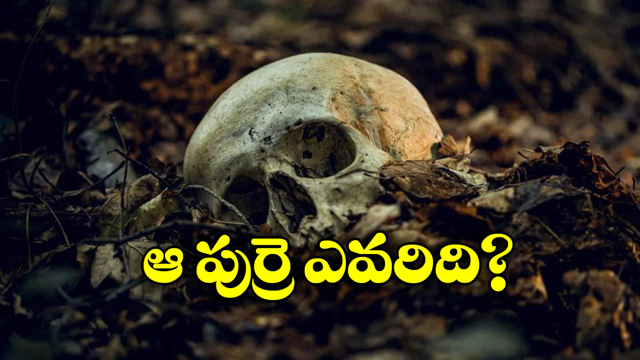 Shocking News: డ్రైనేజీ క్లీన్ చేస్తుంటే అస్థిపంజరం బయటకొచ్చింది.. అపార్టుమెంటులో అలజడి!