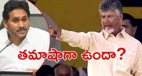 CM Chandrababu: జగన్‌‌కు సీఎం చంద్రబాబు వార్నింగ్, రౌడీయిజం చేస్తామంటే ఉపేక్షించం