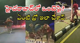 HYDERABAD: ఫుల్‌గా తాగేసి ఒంటెపై.. ఓరి వీడి వేశాలో.. వైరల్ వీడియో