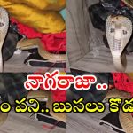 Cobra Snake: దేవుడా.. ఇంత పెద్ద నాగుపాము ఇంట్లోకి వచ్చి.. బుసలు కొడుతూ, వీడియో వైరల్