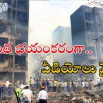 Flight Crash: అయ్యో దేవుడా.. ముక్కలైన విమానం.. చెల్లా చెదురైన శరీర భాగాలు