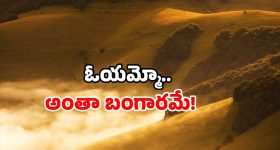 Gold Mines in AP: ఆ కొండంతా బంగారమే.. ఈ టాక్ వెనుక అసలు మిస్టరీ ఇదే!