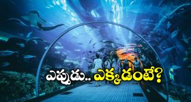 Aadhaar OTP IRCTC: ఇండియన్ రైల్వే కీలక నిర్ణయం.. మీ ఆధార్ ఇలా ఉండాల్సిందే!