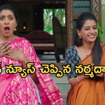 Illu Illalu Pillalu Today Episode: ప్రేమకు ధీరజ్ వార్నింగ్.. ధీరజ్ పై విశ్వం రివేంజ్..వేదవతిని టార్గెట్ చేసిన శ్రీవల్లి..