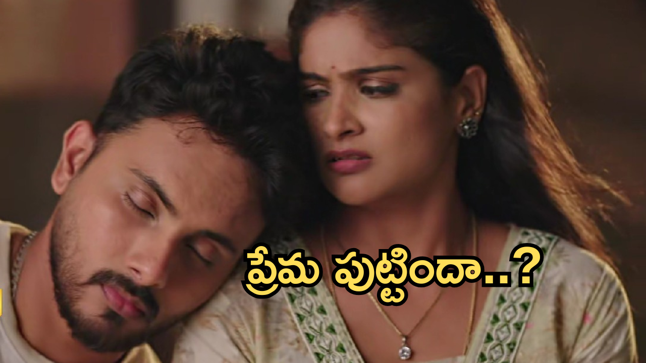 Illu Illalu Pillalu Today Episode: కొడుకు కోసం వేదవతి త్యాగం.. ధీరజ్ భాదను పోగొట్టేందుకు ప్రేమ ప్లాన్..