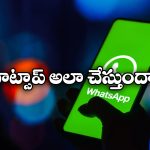 Delete WhatsApp: వెంటనే వాట్సాప్ డిలీట్ చేయండి.. కీలక ఆదేశాలు!