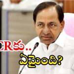 KCR: ఎట్లుంటివి కేసీఆర్.. ఎట్లైతివి?