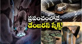 Manchu Vishnu : మనోజ్‌కు మంచు విష్ణు ఓపెన్ ఆఫర్... దగ్గరకి తీసుకుంటా అంటూ ట్వీట్