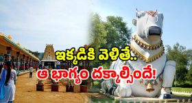 Tirumala Traffic Alert: తిరుమల ప్రయాణం ముందుగా ప్లాన్ చేయండి! ఎందుకో తప్పక తెలుసుకోండి!