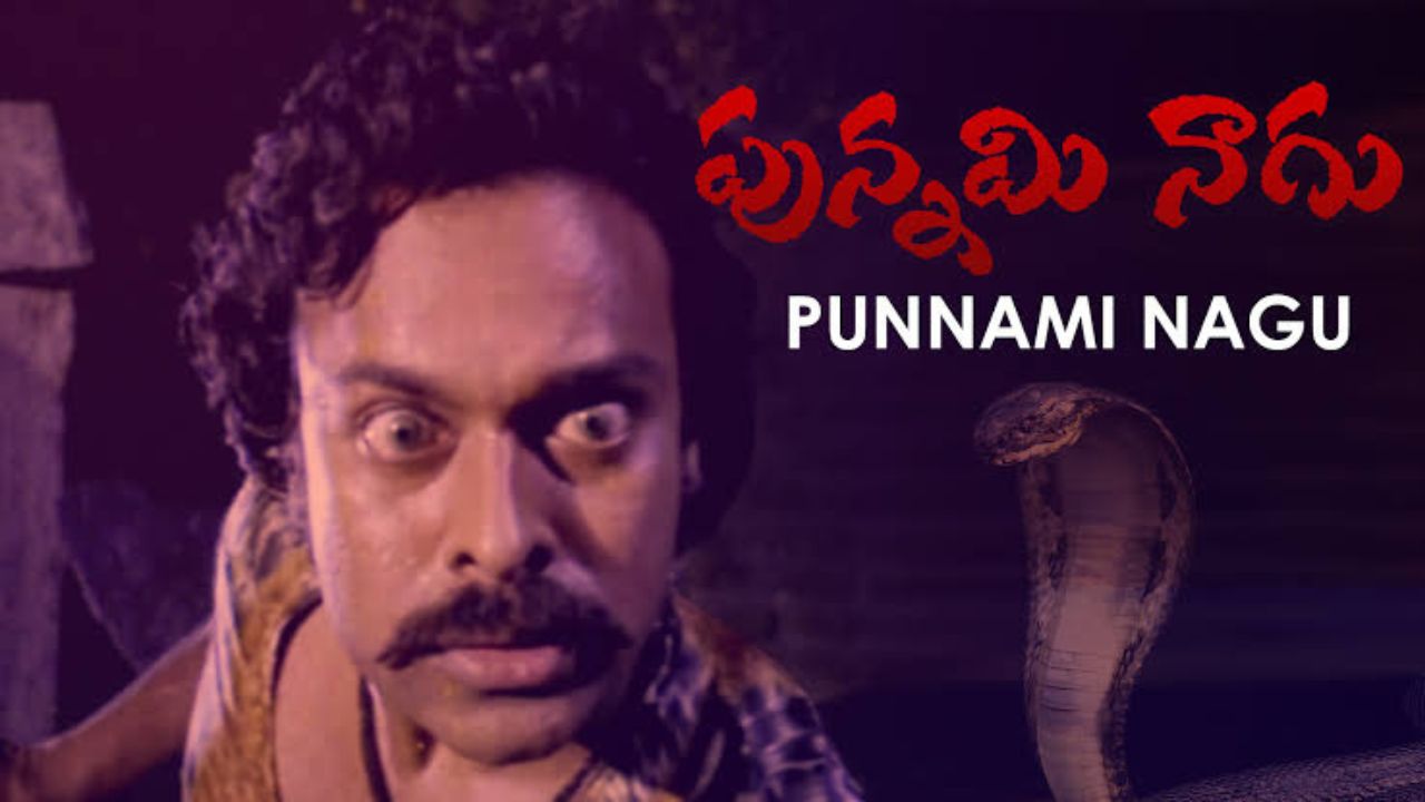 45 Years for Punnami Nagu : మెగాస్టార్ కెరియర్ మలుపు తిప్పిన సినిమా