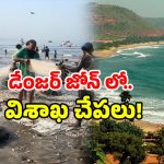 Microplastics in Seafood: విశాఖ చేపలకు ఏమైంది? ఆ పరిశోధనలో విస్తుపోయే నిజాలు..