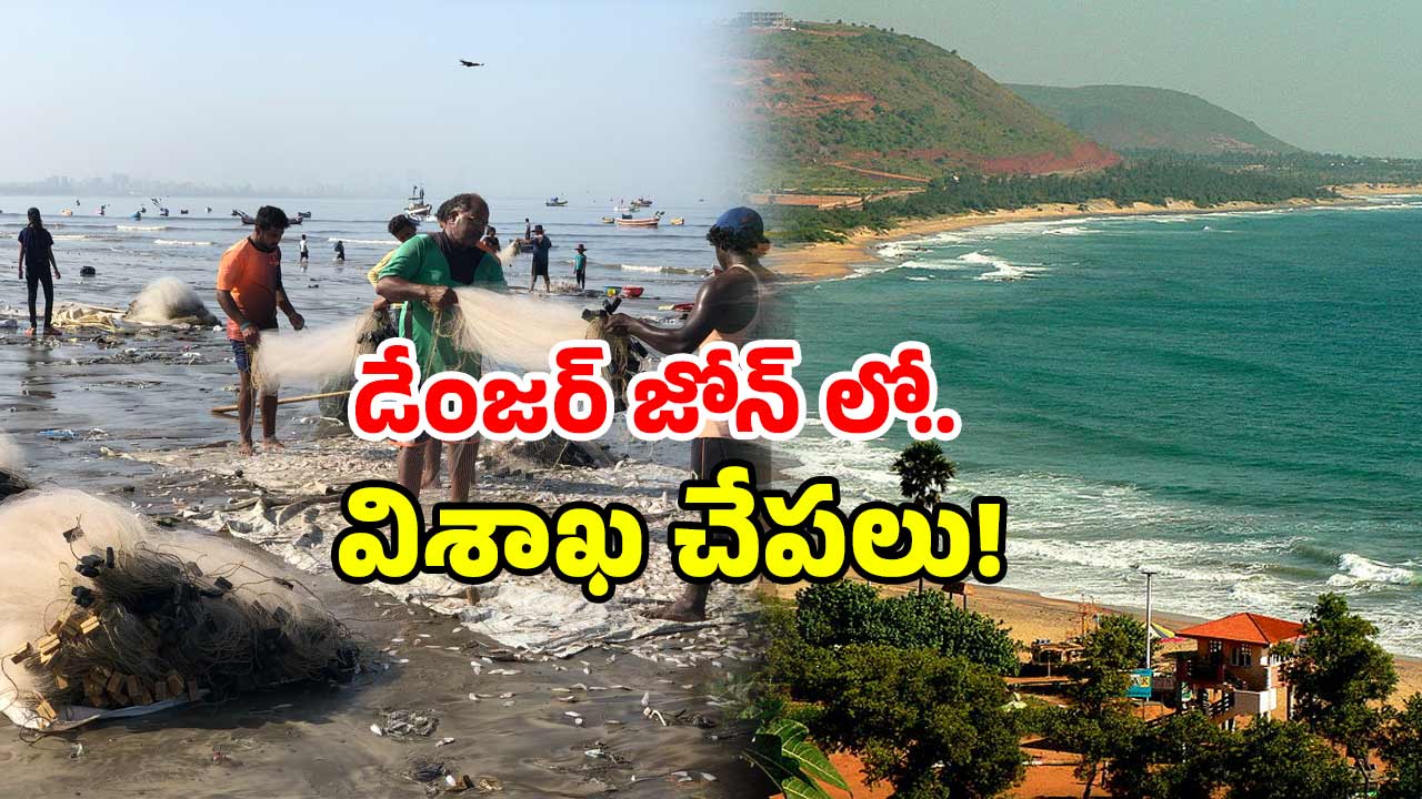 Microplastics in Seafood: విశాఖ చేపలకు ఏమైంది? ఆ పరిశోధనలో విస్తుపోయే నిజాలు..