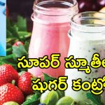 Breakfast Smoothies: షుగర్ కంట్రోల్ చేసేందుకు స్మూతీ.. ఉదయం టిఫిన్‌లో ఇలా చేసుకోండి