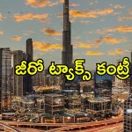 Millionaires Migration: సంపన్నులందరూ ఒకే దేశానికి పయనం.. వలసవెళుతున్న ప్రపంచకుబేరులు
