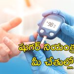 Diabetes Without Medicines: మందులు లేకుండా షుగర్ నియంత్రణ సాధ్యమే.. ఇలా చేయండి
