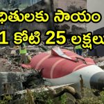Air India Compensation: విమాన ప్రమాద బాధిత కుటుంబాలకు రూ.25 లక్షల తాత్కాలిక సాయం.. టాటా గ్రూప్ పరిహారానికి అదనం