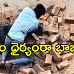 Leopard Viral Video: చిరుత భయంతో అందరూ పారిపోతుండగా.. ఒట్టి చేతులతో పోరాడిన ఒకే ఒక్కడు
