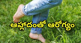 Barefoot Walking Grass: ఉదయాన్నే పచ్చగడ్డిపై కాలినడక.. చెప్పులు లేకుండా నడిస్తే ఎన్నో ఆరోగ్య లాభాలు