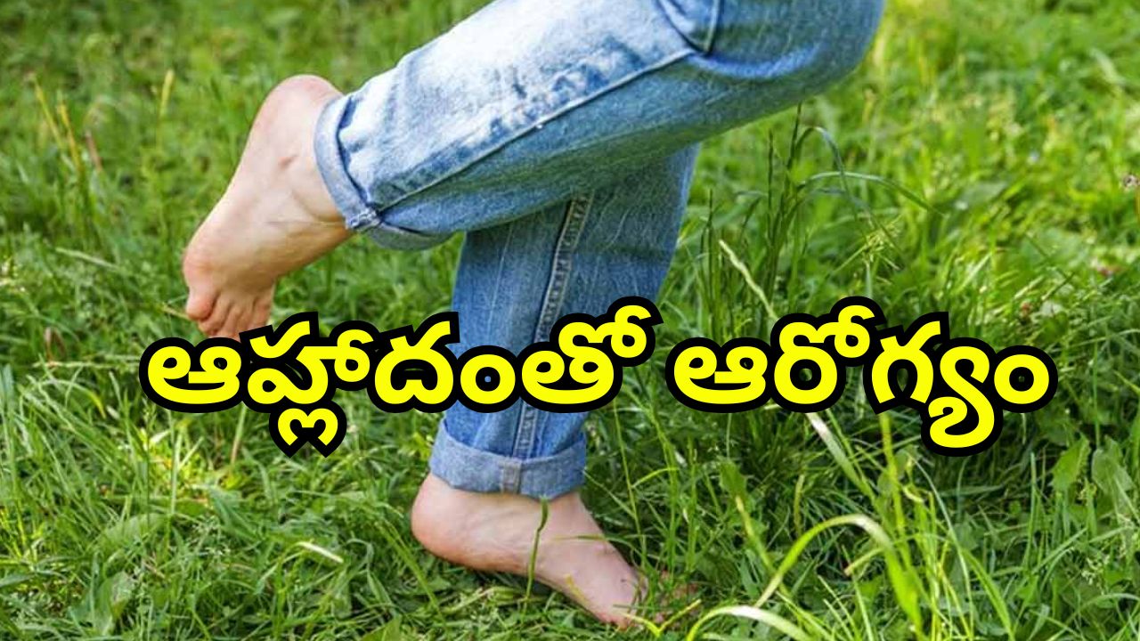Barefoot Walking Grass: ఉదయాన్నే పచ్చగడ్డిపై కాలినడక.. చెప్పులు లేకుండా నడిస్తే ఎన్నో ఆరోగ్య లాభాలు