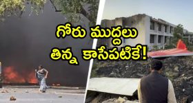 Plane Crash Victim Story: చెట్టు కింద నిద్రిస్తున్న బిడ్డపై పడ్డ విమానం.. తప్పించుకున్న తల్లి, గుండె బరువెక్కించే ఘటన