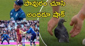 Siddharth Mallya: వెక్కి వెక్కి ఏడ్చిన విజయ్ మాల్యా కొడుకు.. RCB అంటే మాములుగా ఉండదు