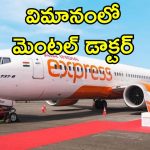 Doctor Misbehave Flight Crew: విమానాన్ని కూల్చేస్తా.. సిబ్బందిని బెదిరించిన మహిళా డాక్టర్