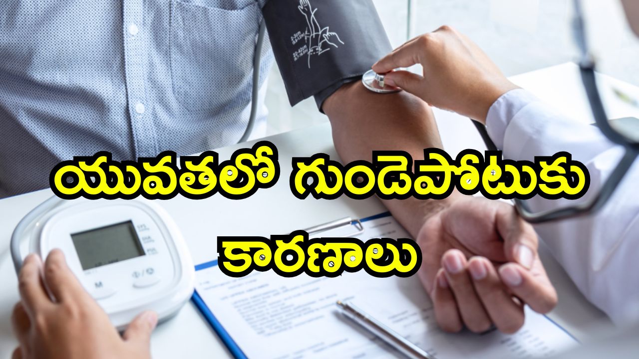 Indians High BP: 40 ఏళ్లలోపు భారతీయులలో హై బీపీ సమస్య.. ఈ ఆయుర్వేద టిప్స్‌తో రివర్స్