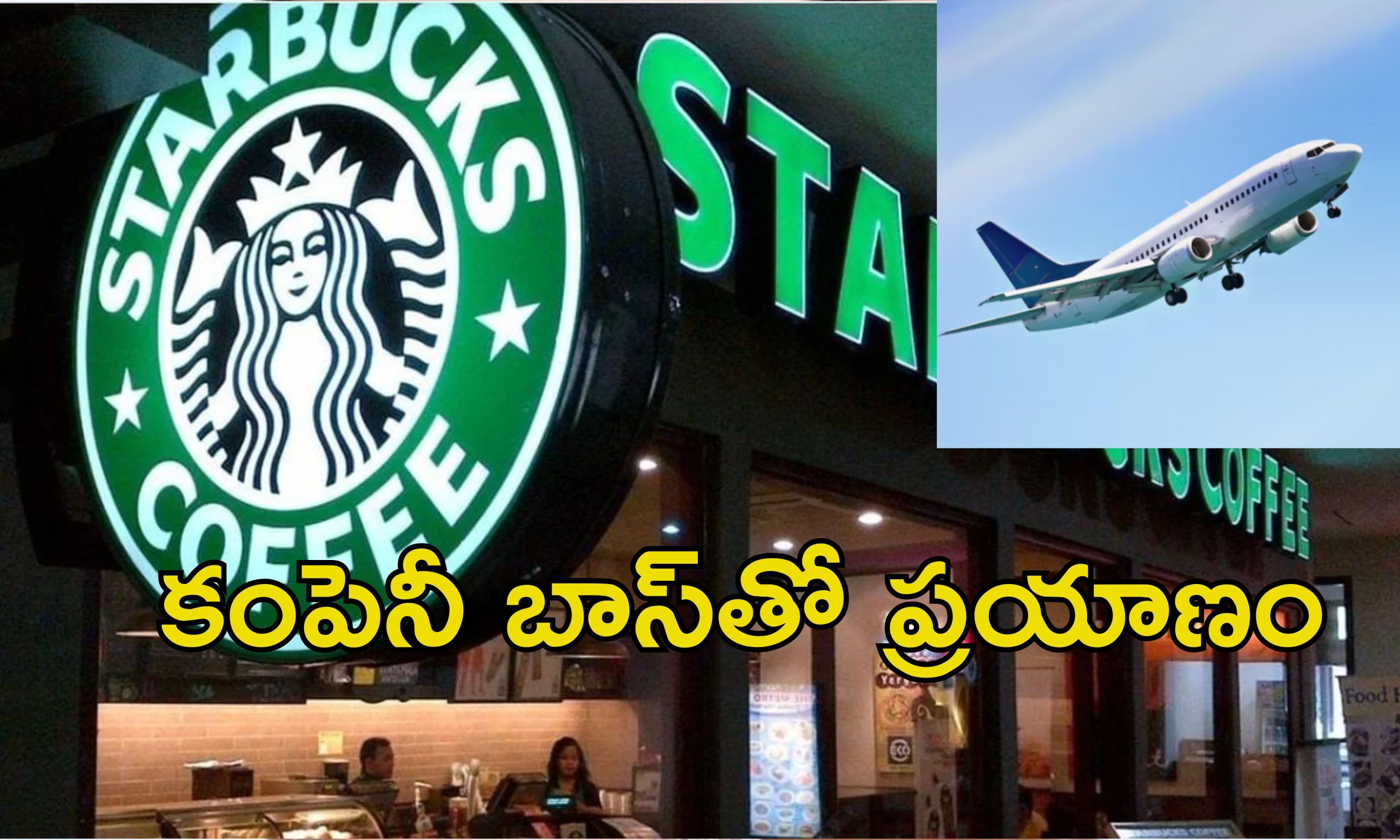 Starbucks Job: స్టార్‌బక్స్‌లో ఉద్యోగం.. రూ.3 కోట్లు జీతం.. ఆకాశంలో 35,000 అడుగుల ఎత్తులో ఆఫీసు