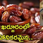 Dates Eating Warning: ఖర్జూరాలు తింటున్నారా? చెక్ చేసి తినండి లేకుంటే.. డాక్టర్ల వార్నింగ్