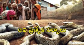 Disha Patani: బ్లాక్ డ్రెస్ లో మరింత డోస్ పెంచిన దిశా.. ఫొటోస్ వైరల్!