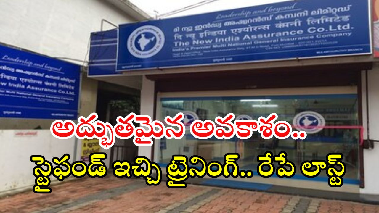 NIACL: గోల్డెన్ ఛాన్స్ ఇది.. డిగ్రీతో భారీగా ఉద్యోగాలు.. స్టైఫండ్ ఇచ్చి ట్రైనింగ్