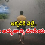 Nature Tourism: 164 ఏళ్ల జీవం.. నేటికీ ఏపీలో.. ఈ అద్భుతం మీరు చూశారా?