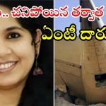 Plane crash: విమాన ప్రమాదంలో నర్సు మృతి.. రెవిన్యూ ఆఫీసర్ అనుచిత పోస్ట్.. చివరకు?