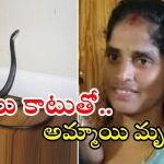 Snake Bite: పాము కాటుతో అమ్మాయి మృతి.. మరో ఇద్దరి పరిస్థితి విషమం