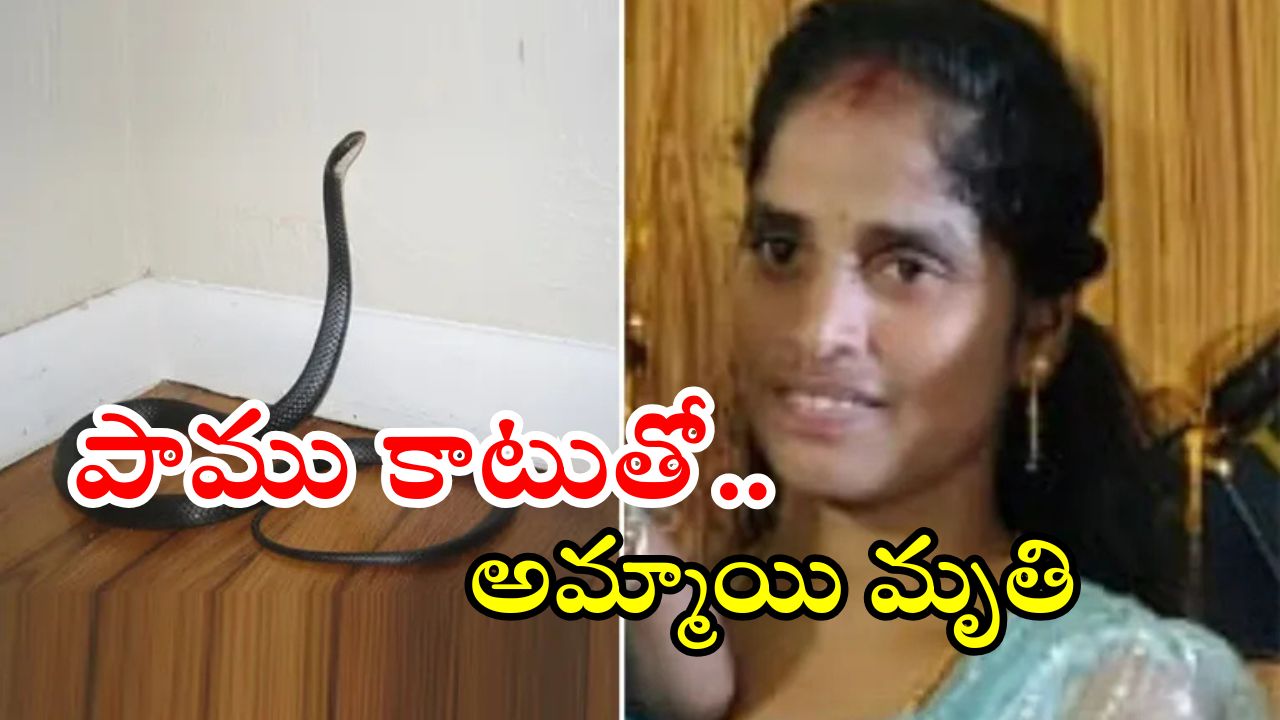 Snake Bite: పాము కాటుతో అమ్మాయి మృతి.. మరో ఇద్దరి పరిస్థితి విషమం