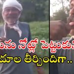 Snake Video: పాముతో చెలగాటమా.. నాలుకతో తాకుతూ.. చివరకు దూలతీర్చిందా!
